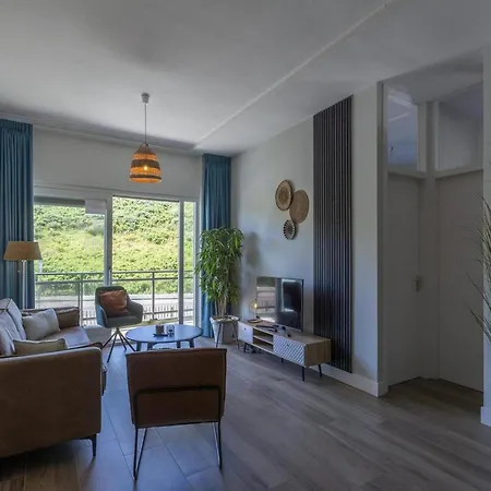 An Open Spacious *