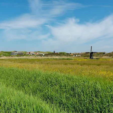 Pet-friendly * Callantsoog